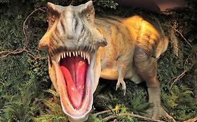 変なホテル舞浜　東京ベイ